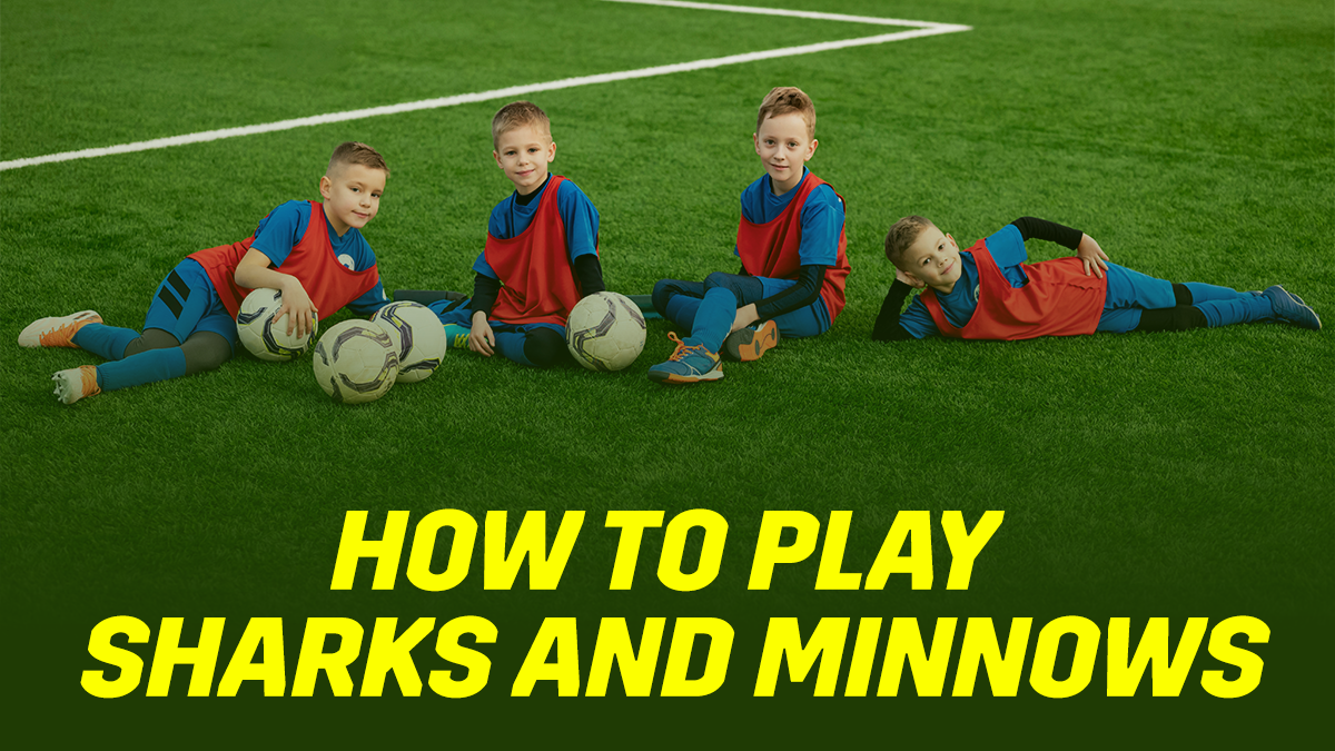 How to Play Sharks and Minnows: Rules & Variations